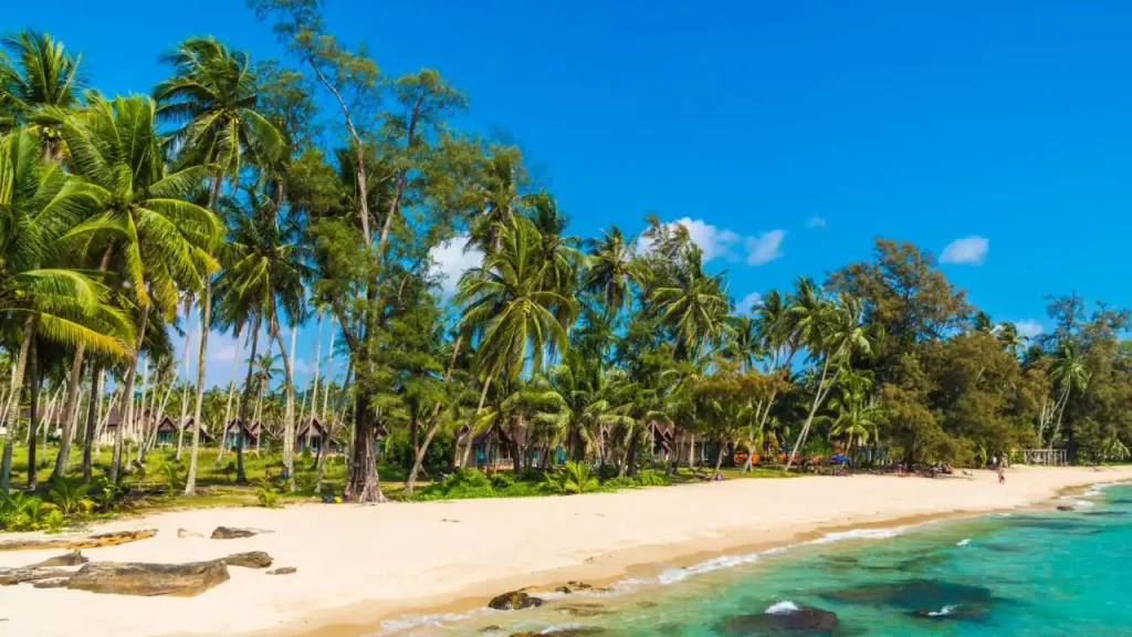 Paisagem de Praia em Porto de Galinhas