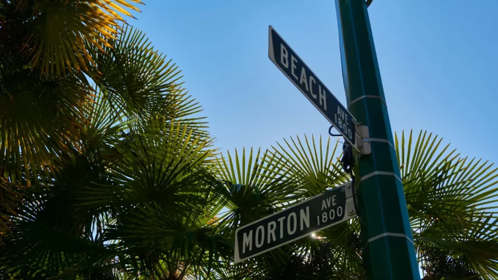 Placas de rua indicando Beach Avenue e Morton Avenue, cercadas por palmeiras sob um céu azul.