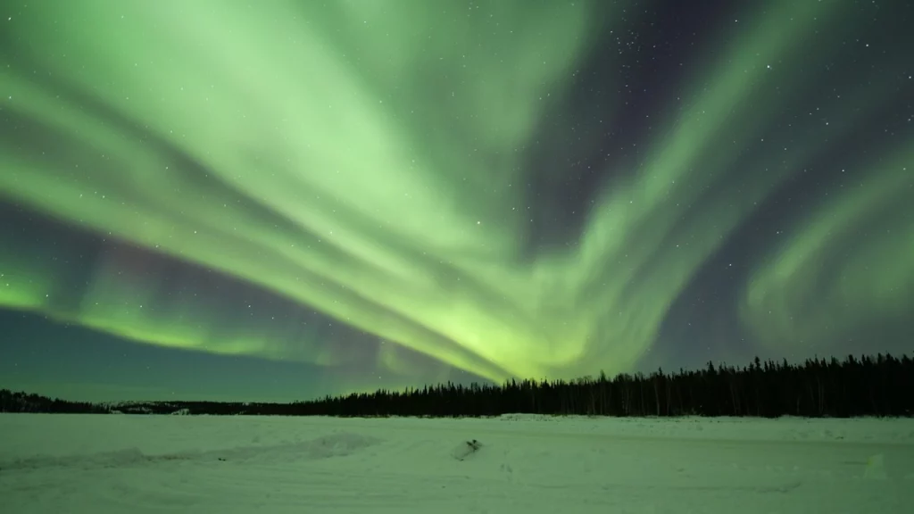 Céu noturno pintado com faixas brilhantes de luzes verdes da aurora boreal, visível sobre um vasto campo de neve, com uma floresta ao fundo.