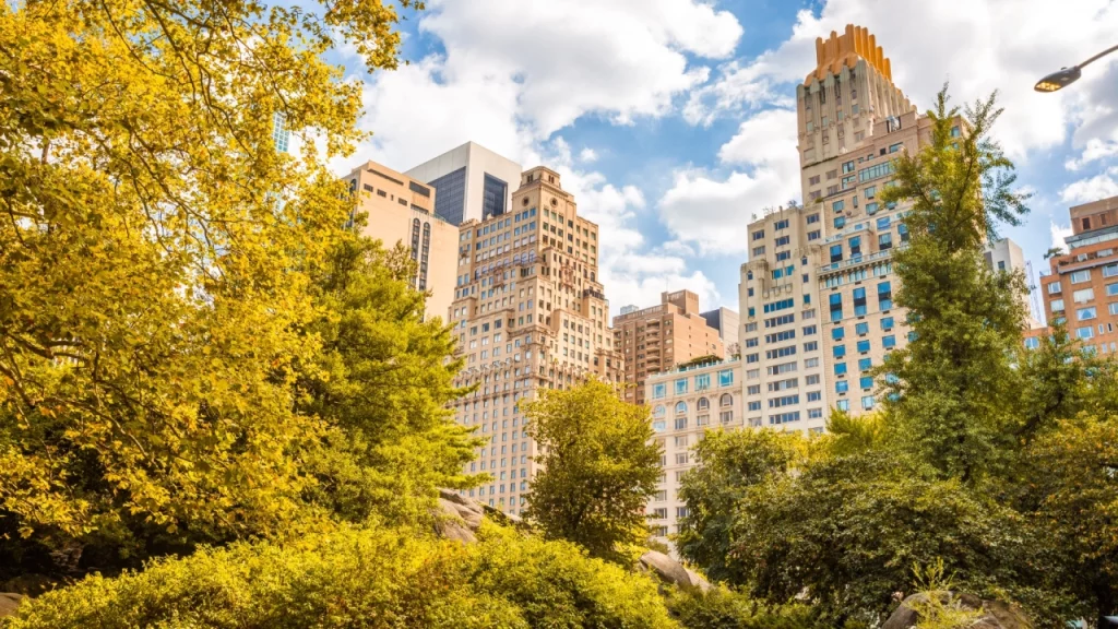 Vista do Central Park em Nova York, mostrando árvores verdes e douradas durante o outono, com prédios ao fundo e céu parcialmente nublado.