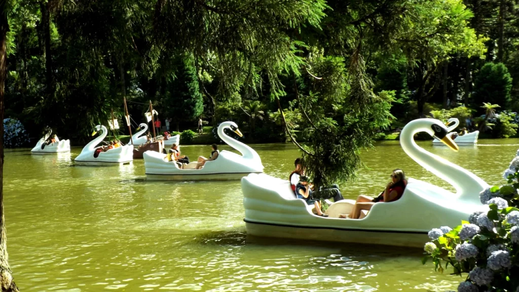 Pedalinhos em forma de cisne no Lago Negro, cercados por árvores e vegetação exuberante. Turistas relaxam enquanto passeiam pelo lago, apreciando a beleza natural do ambiente em um dia ensolarado.