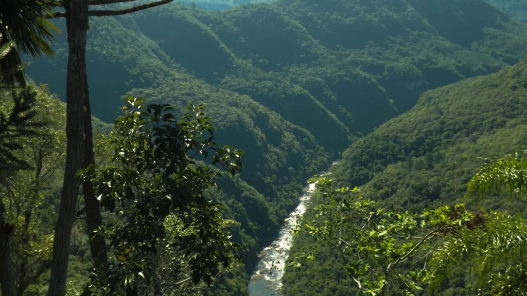 Vista do Vale da Ferradura em Canela, RS, com árvores de araucária emoldurando o cenário e um rio serpenteando entre as montanhas cobertas de mata atlântica.