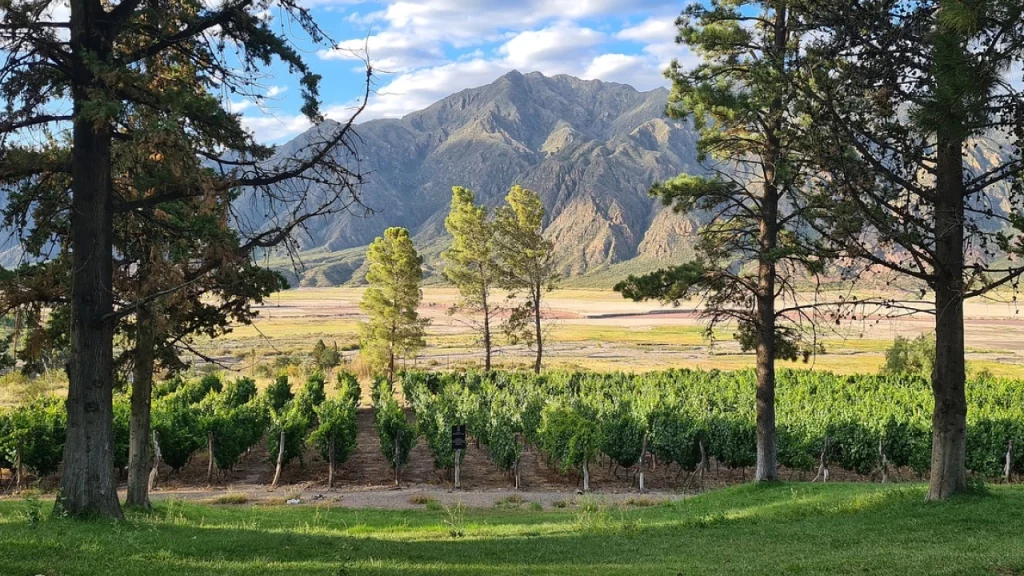 Vinhedos exuberantes de Mendoza, rodeados pelas majestosas montanhas da Cordilheira dos Andes.