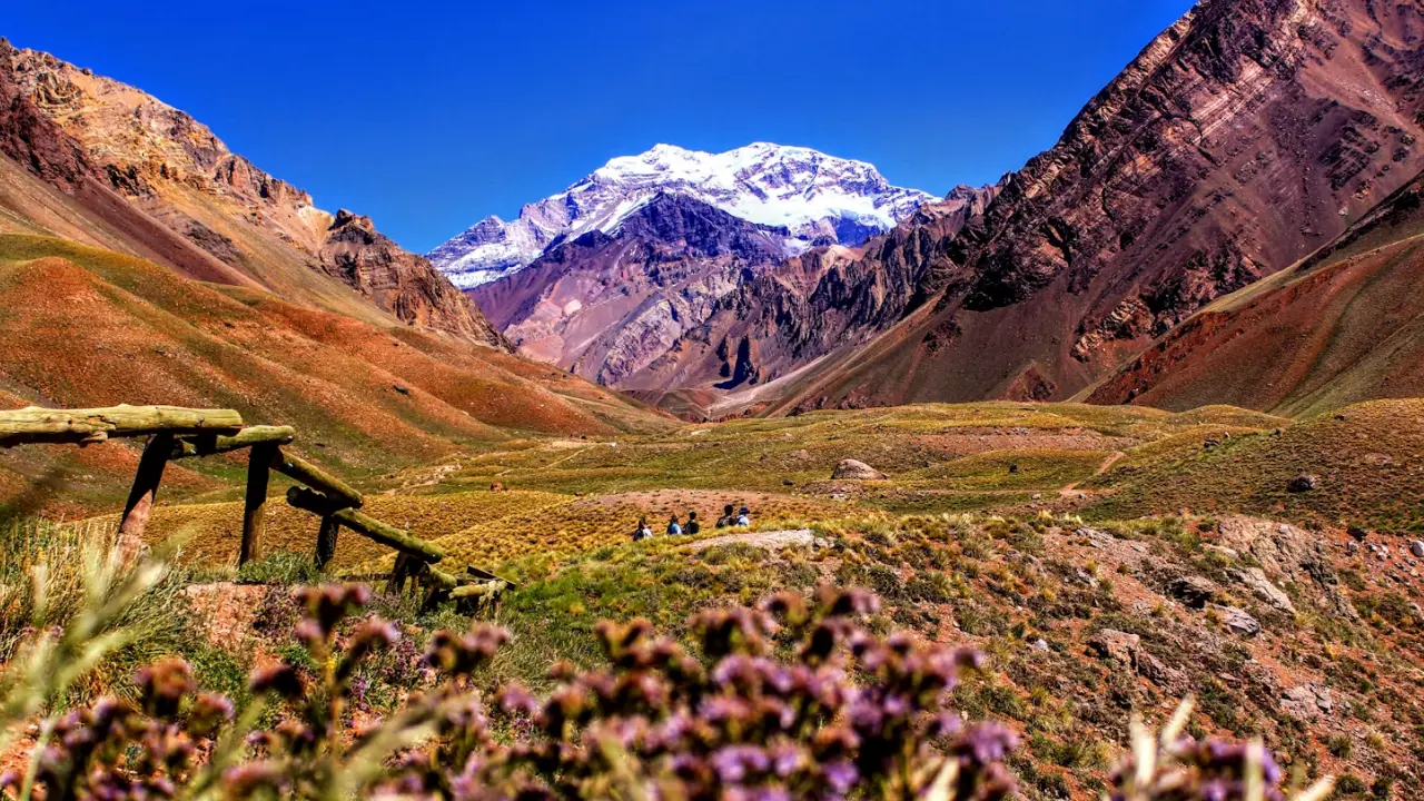 Cenário de montanhas imponentes ao fundo, com o topo coberto de neve. No primeiro plano, vegetação colorida e flores roxas em contraste com as encostas áridas, destacando a beleza natural da região.