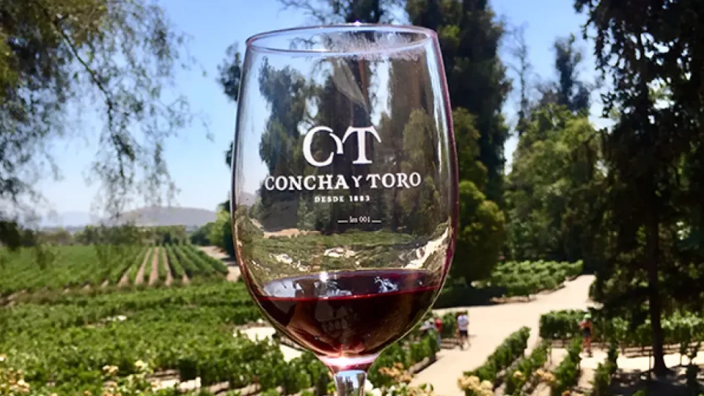 Taça de vinho tinto da vinícola Concha y Toro com vista para os vinhedos em Santiago, Chile, uma das vinícolas mais tradicionais do país.