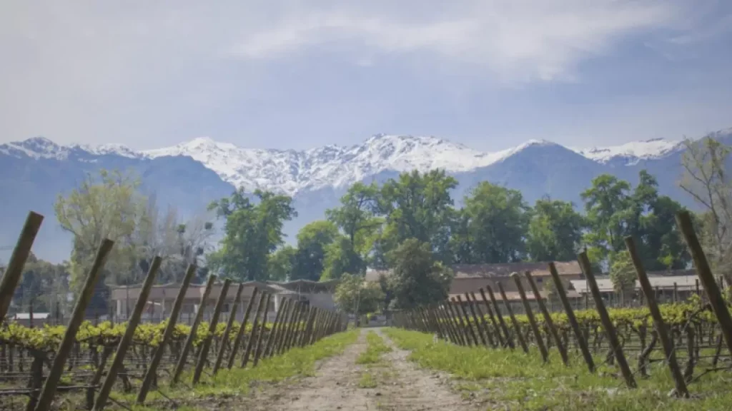 Vinhedos chilenos com vista para a Cordilheira dos Andes, uma das paisagens mais impressionantes das vinícolas no Chile.