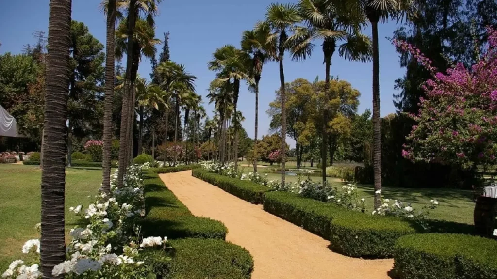 ardins bem cuidados da vinícola Cousiño Macul em Santiago, Chile, cercados por palmeiras e flores, ideal para passeios turísticos.