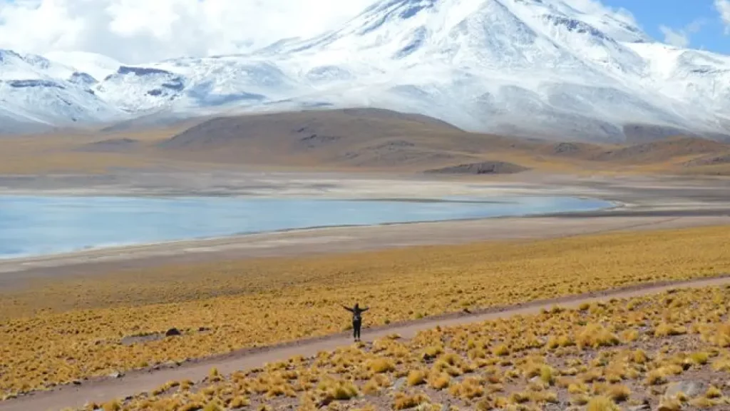 Laguna Miscanti no Deserto do Atacama com montanhas nevadas, céu claro e viajante caminhando por trilha em meio à paisagem árida.