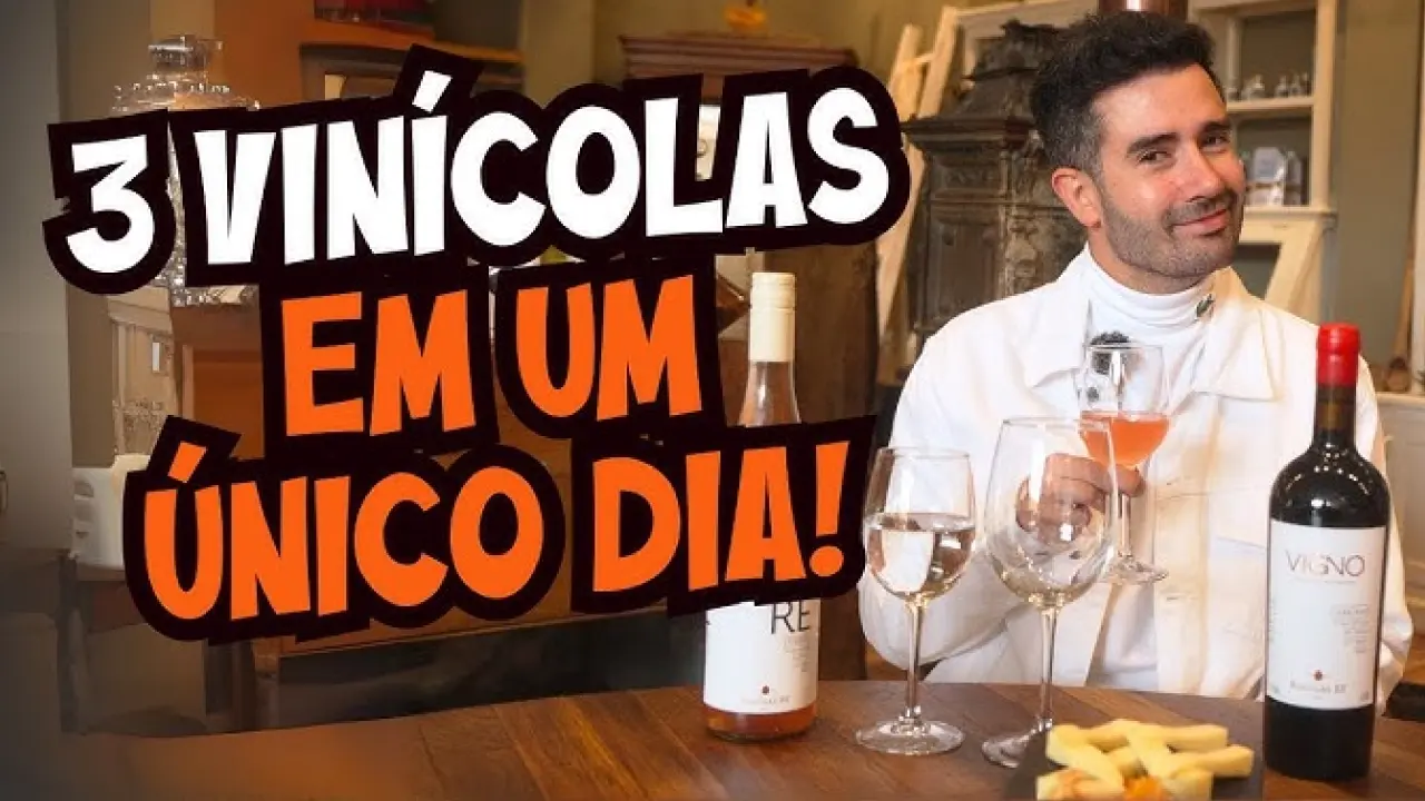 Influencer com vinhos e queijos em vídeo promocional sobre vinícolas: "Homem sentado à mesa com taças, queijos e vinhos, ao lado da frase '3 vinícolas em um único dia' em destaque no vídeo.