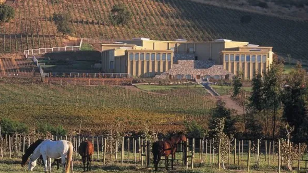 Cavalos pastando diante da vinícola Haras de Pirque, rodeada por vinhedos e colinas no Valle del Maipo.