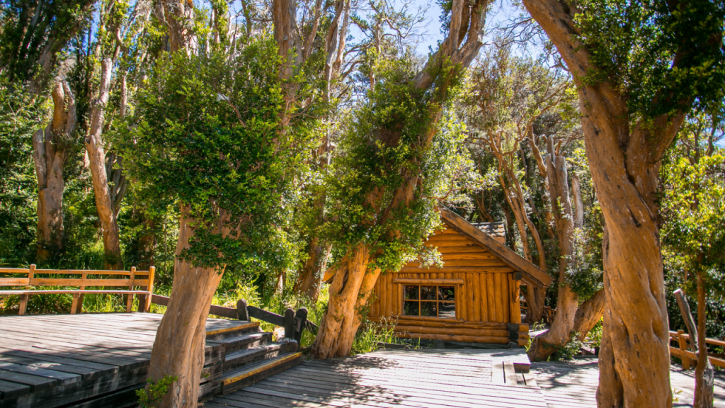 Cabana de madeira cercada por árvores típicas do Bosque de Arrayanes em Bariloche, com passarelas de madeira integradas à natureza.