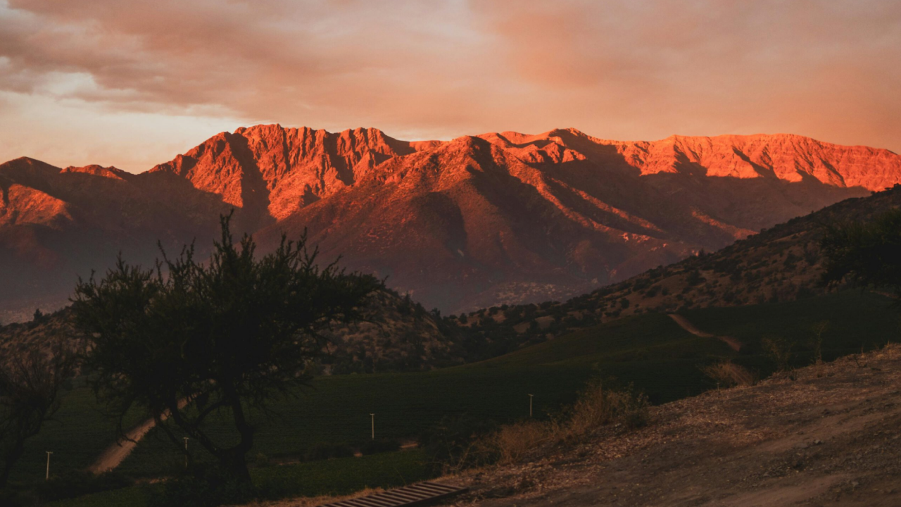 Vinhedos e montanhas iluminadas pelo pôr do sol na Vinícola El Principal, no Vale do Maipo, Chile.