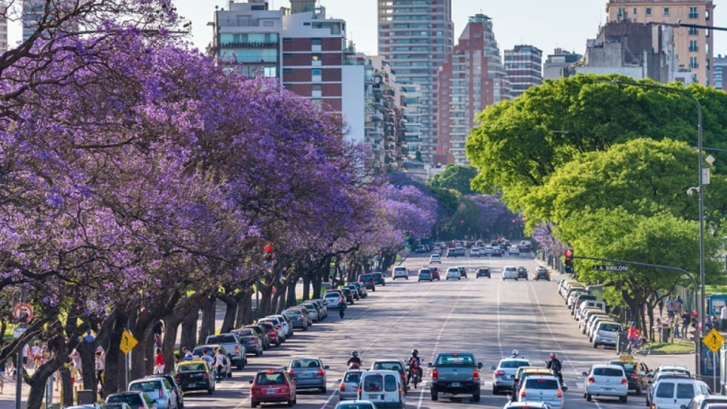 Avenida arborizada em Buenos Aires no outono, com tráfego e prédios ao fundo.