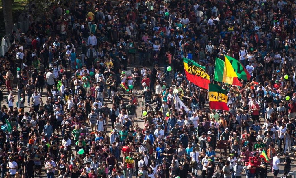 Uso de maconha no Chile