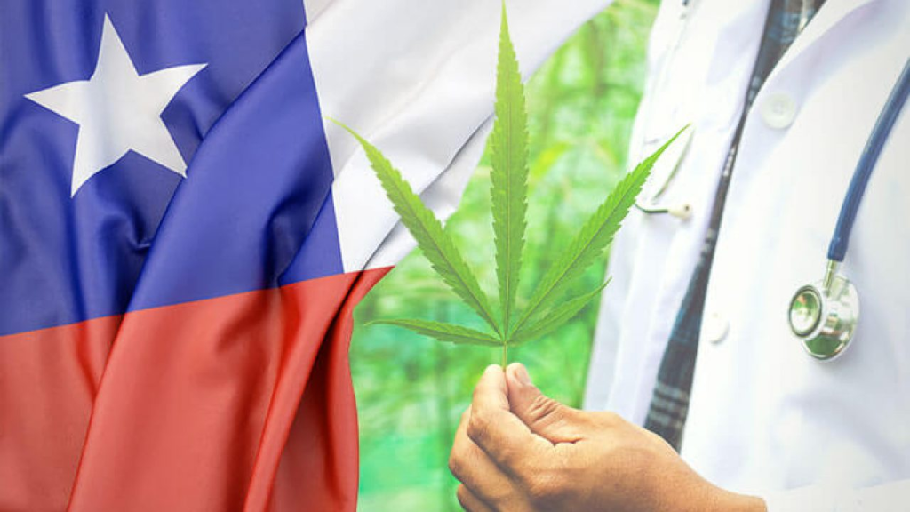 Uso de maconha no Chile